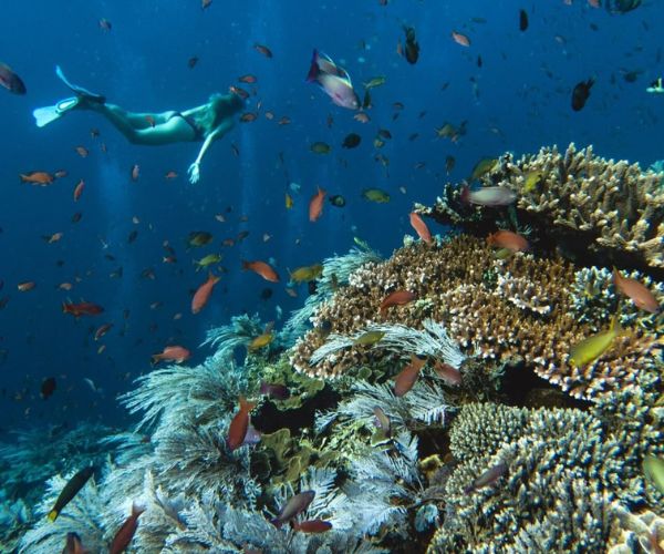 Day Trip Nusa Penida + Snorkeling