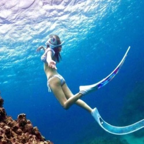 1 Day 1 Night Nusa Penida + Snorkeling