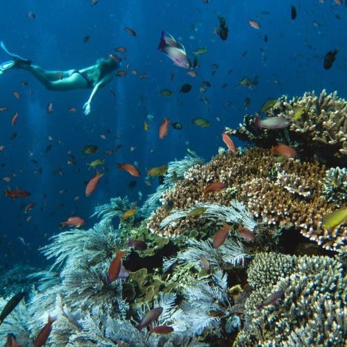Day Trip Nusa Penida + Snorkeling