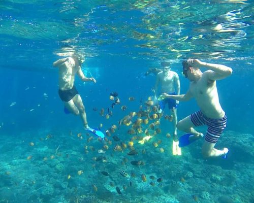Gamat Bay Nusa Penida